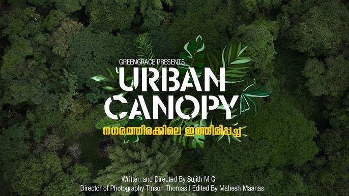 Urban Canopy